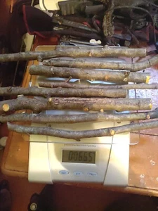 1lb. Chemiefreier Apfel Holz Kaustab Zweig Bio 100% Vegan - Bild 1 von 1