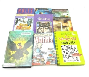 Leveled Reading Homeschool Chapter Books R-Y Books Diary Holes & More Lot 9 Used - Picture 1 of 12