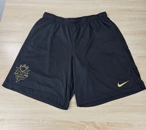 Men's 2XL Nike Manny Pacquiao Pacman Snakeskin Gray Grey Gym Basketball Shorts - Imagen 1 de 9