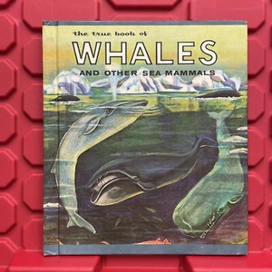 The Book Of Whales And Other Sea Mammals Young Readers Press Vintage 1970 - Imagen 1 de 6