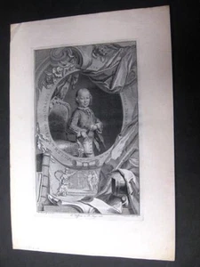 Willem de V. Prins van Oranje..................... Pothoven, Hendrik and J. Houb - Picture 1 of 1