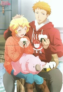 Poster Promo Cute High Earth Defense Club Love King of Prism PrettyRhythm Anime - Bild 1 von 2