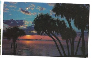 A SOUTHERN NIGHT Tropical Sunset Beach Palm Trees Ocean Water Sun Postcard - Picture 1 of 2