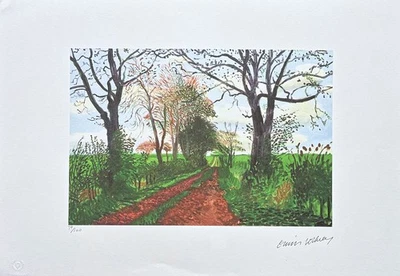 DAVID HOCKNEY - Túnel de Primavera Tardía - Firmado, edición numerada 29/500, 50x35 cm Foto 1 de 4