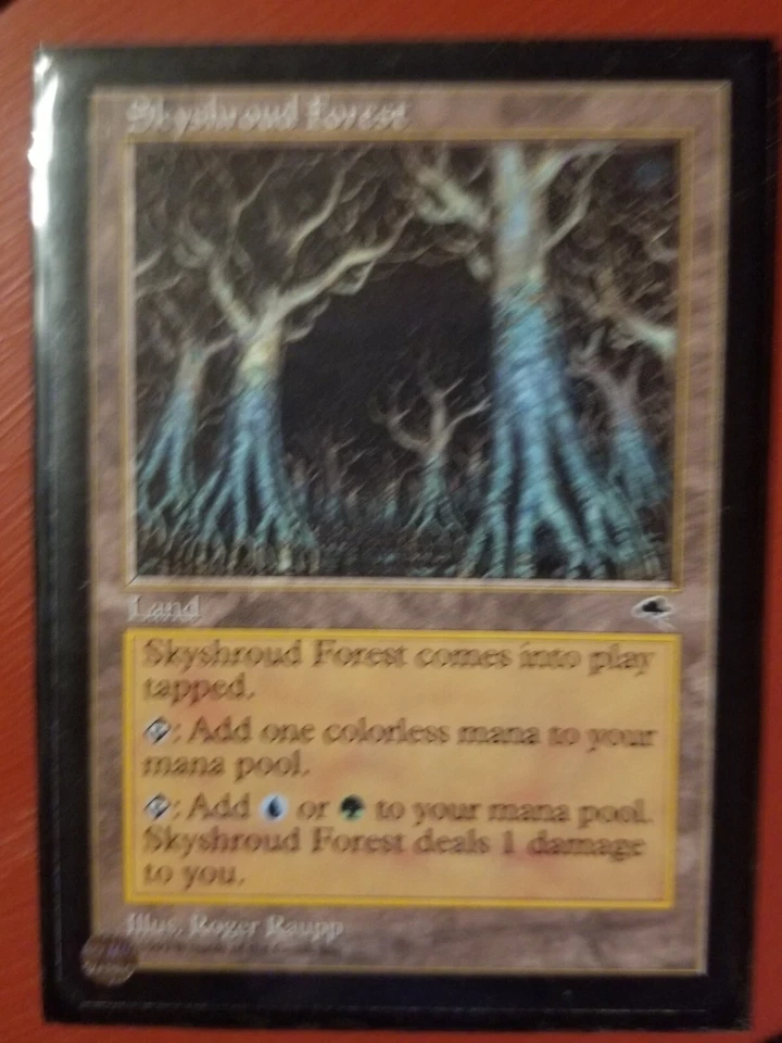 2x MTG Magic the Gathering Skyshroud Forest Tempest NM - Image 1 of 1