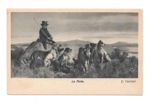 SCENA DI CACCIA LA MUTA E. CECCONI CARTOLINA NON VIAGGIATA FP ANNI '30 - Imagen 1 de 2