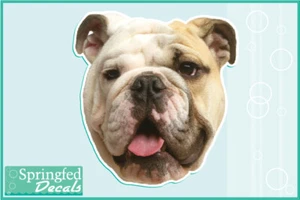 BULLDOG Head Vinyl Decal #2 Car Truck Dog Sticker - Picture 1 of 1