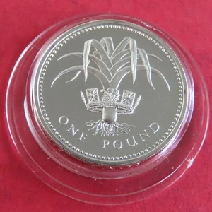 UK 1985 £1 WELSH LEEK SILVER PROOF - Picture 1 of 2