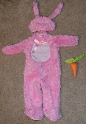 Disfraz de Conejito Rosa Rubí Niña Talla 12-18 Meses con Orejas Sombrero y Zanahoria Foto 1 de 2