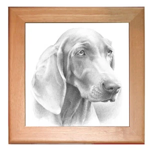 Weimaraner Dog Kitchen Ceramic Trivet Framed in Pine 8" x 8" - Picture 1 of 1