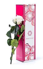 Rosen-Te-Amo® |konservierte ewige Rose Weiß oder Rot 27cm | liebes Geschenk box