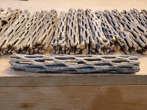 20 pcs 6" inch CHOLLA Wood Cactus | ORGANIC, Untreated | Shrimp Aquarium CRAFTS! - Picture 1 of 10