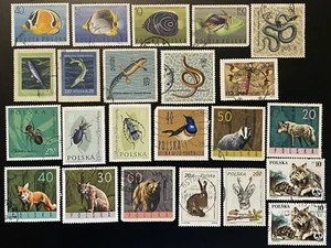 Poland stamps Fauna - Picture 1 of 2