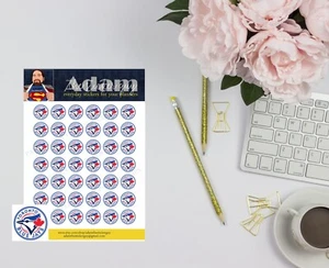 Toronto Blue Jays Planner Stickers - Picture 1 of 2