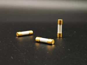 1x Hifi Plata Oro Fusible 5x20mm 1A 1.6A 3.15A 5A,10A 5x25mm Soplado Lento - Imagen 1 de 1