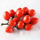 Tomate vigne rouge artificielle vibrante d&#233;coration v&#233;g&#233;tale r&#233;aliste taille
