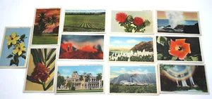 12 piezas postales genuinas de artista Curteich década de 1940 Oahu Hilo Honolulu Hawai sin usar Fl - Imagen 1 de 6