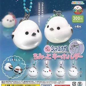 Fuku Fuku Shimaenaga Chimitto Brelok Kapsułka Zabawka 4 rodzaje Pełny zestaw Comp Gacha - Zdjęcie 1 z 12