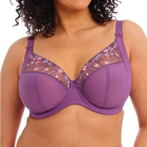 Elomi Charley Underwire Plunge Bra EL4380PAY Pansy Size 42J - Picture 1 of 16