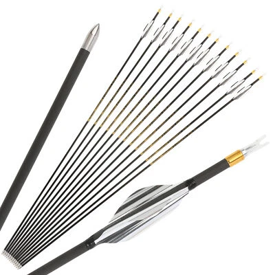 Flecha de tiro con arco 6/12 X 31"" carbono puro SP700-1000 ID4,2 mm 0,001"" 0,003"" tiro Foto 1 de 4