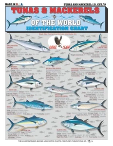Thunfisch & Makrele Fisch Identifizierung #9 - Kurzanleitung - Bild 1 von 2