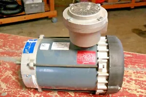 Marathon 56T17G5319D P 3/4 hp, 3 ph, Hazardous Location Motor - Picture 1 of 7