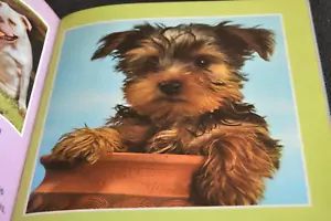 Libro de bolsillo infantil CACHORROS Y PERROS foto Rand McNally vintage 1979 - Imagen 1 de 5
