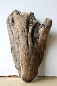 Treibholz Schwemmholz Driftwood 1 Skulptur Basteln Dekoration 21 cm - Bild 1 von 14