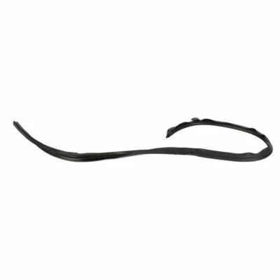 2004-2008 Ford F-150 Super Cab Left Driver Side Roof Weatherstrip OEM GENUINE - Imagem 1 de 4