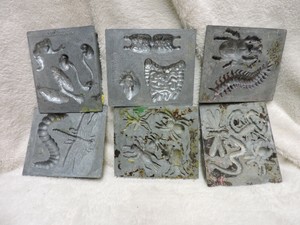 creepy crawlers for sale