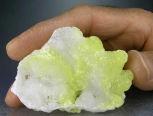 GRACEFUL BRIGHT YELLOW BRUCITE CRYSTALS ON MATRIX, BALOCHISTAN, PAKISTAN - Picture 1 of 2