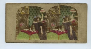 Girl With King Spaniel Dog 1850s Hand Tinted Genre Stereoview - Picture 1 of 2
