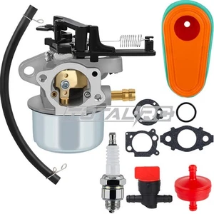 216852 Carburador para Rover Microrider con Brigg and Stratton 875 EX SERIES 190cc - Imagen 1 de 6