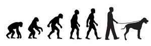 Great Dane Walker 'Evolution' car sticker, vinyl decal - Picture 1 of 3