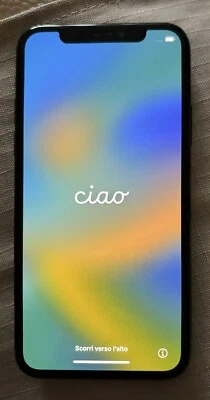 iPhone X - 256GB - perfettamente funzionante e in buono stato estetico  - Immagine 1 di 4