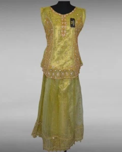 GOWN SALWAR KAMEEZ PAKISTANI INDIAN WEDDING PARTY WEAR DRESS BOLLYWOOD SUIT NEW2 - Picture 1 of 7