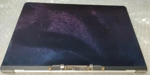 Conjunto Pantalla APPLE 13" Plateado para A1932 EMC 3184 MacBook Grado B - Imagen 1 de 3