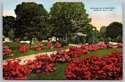 Azaleas Lyons Park Mobile Alabama AL Flower Garden Pat J Vintage UNP Postcard
