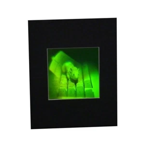 Imagen de holograma multicanal de ratón 3D ENMARAÑADA, película de fotopolímero Polaroid - Imagen 1 de 7