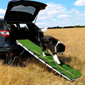 Hunderampe XL, 2.6 m, Einstiegshilfe für Hunde ins Auto, Hunderampe bis 100kg - Bild 1 von 14