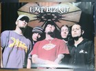 LIMP BIZKIT Group rare oversized poster POSTER 38"X54" NOS (up44)