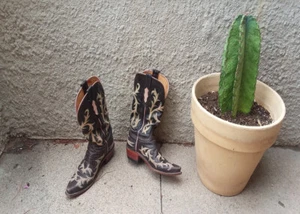 1883 Lucchese DAMENSTIEFEL – SOUTHWEST-DESIGN – 6 1/2 B - Bild 1 von 8