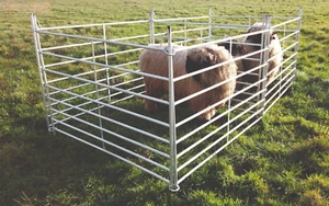 Weidepanel Steckfixhorde Schafpanel Set Schafgatter Pferch 110 cm höhe - Bild 1 von 12