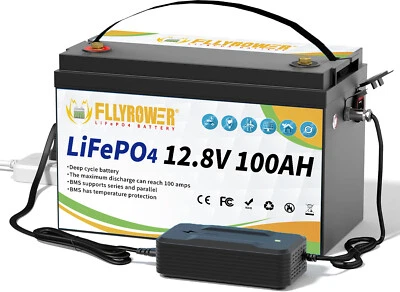 KEPWORTH 100Ah 180Ah 200Ah 300Ah 12V LiFePO4 Lithium Batterie BMS Akku Wohnmobil Boot