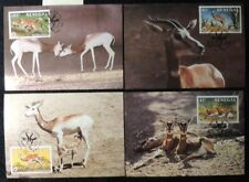 senegal 1986 WWF dama gazelle 4 values maxicard animals mammals