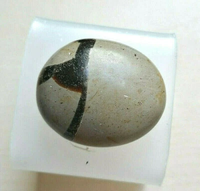 Galet de septarian/ septaria 33,34 g / 35 mm Madagascar - Photo 1/2
