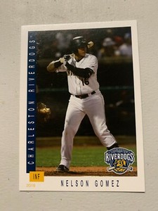 Nelson Gomez Card 2019 Charleston River Dogs Team Card
