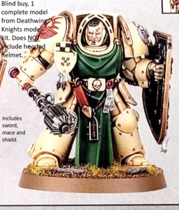 Deathwing Knight Terminator random model NO hood Dark Angels Space Marines 40k - Picture 1 of 2