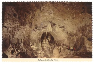 Carlsbad Caverns New Mexico Big Room Entrance Vintage Postcard - Picture 1 of 2