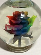 Rainbow Rose Globe in Water
